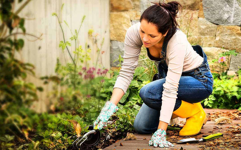Γεωπονικό Κέντρο Κήπου